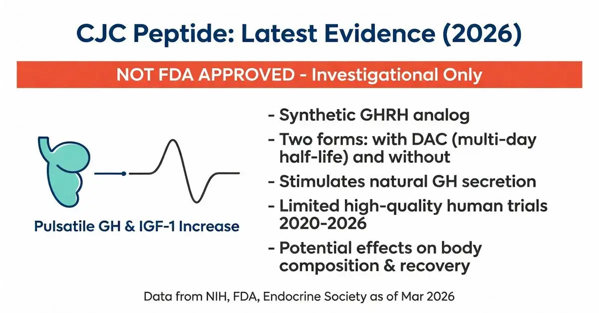 CJC peptide latest evidence 2026 infographic showing synthetic GHRH analog that stimulates pulsatile GH and IGF-1 increase for body composition and recovery