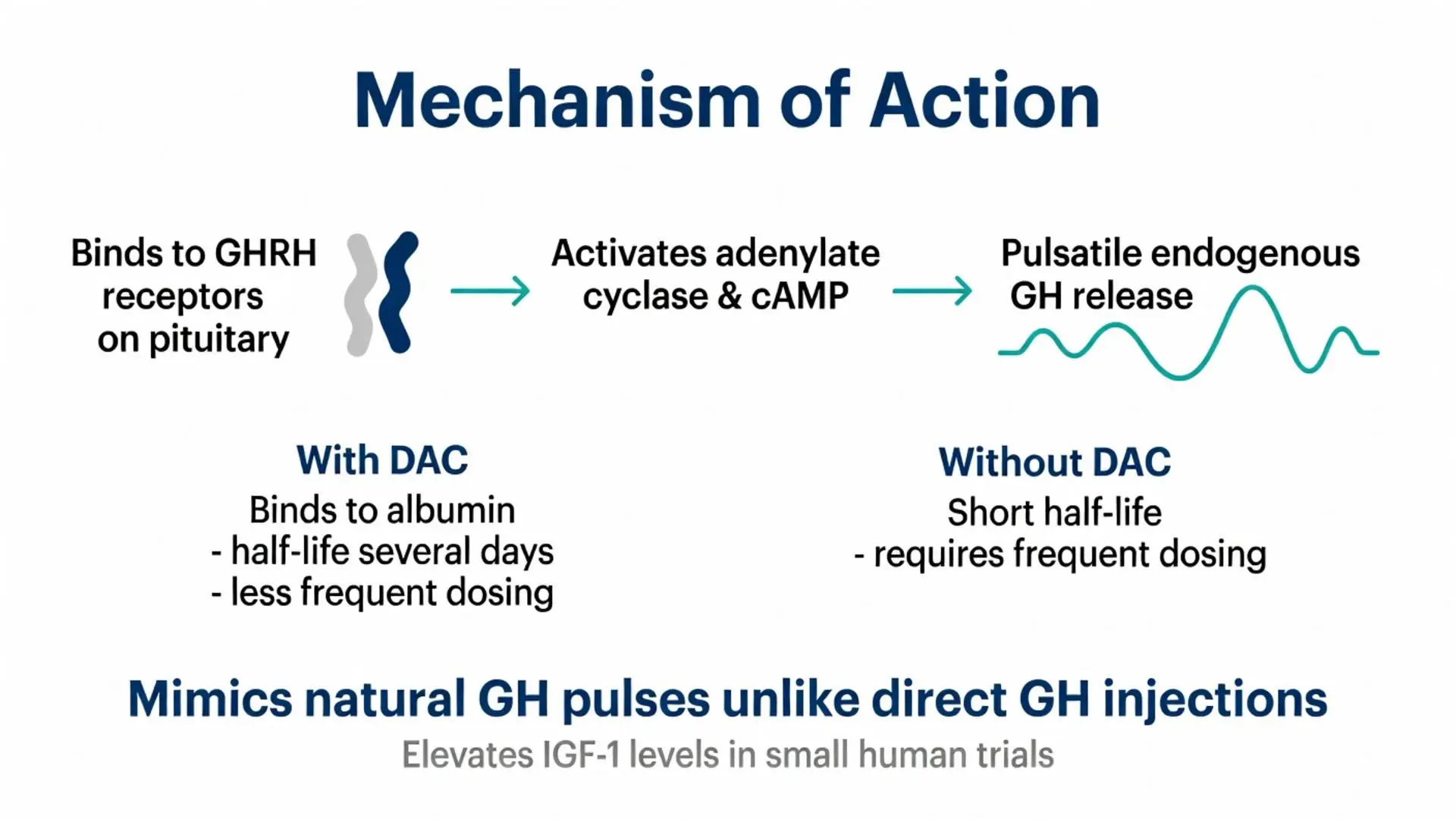 CJC peptide mechanism of action diagram showing GHRH receptor binding, cAMP activation, and pulsatile endogenous GH release with and without DAC