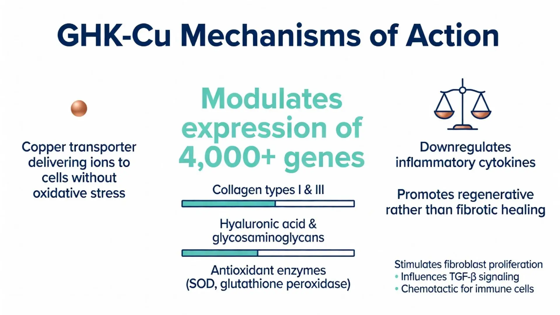 GHK-Cu peptide mechanisms of action infographic showing gene modulation of 4000+ genes, collagen types I & III production, hyaluronic acid, antioxidant enzymes, and anti-inflammatory effects