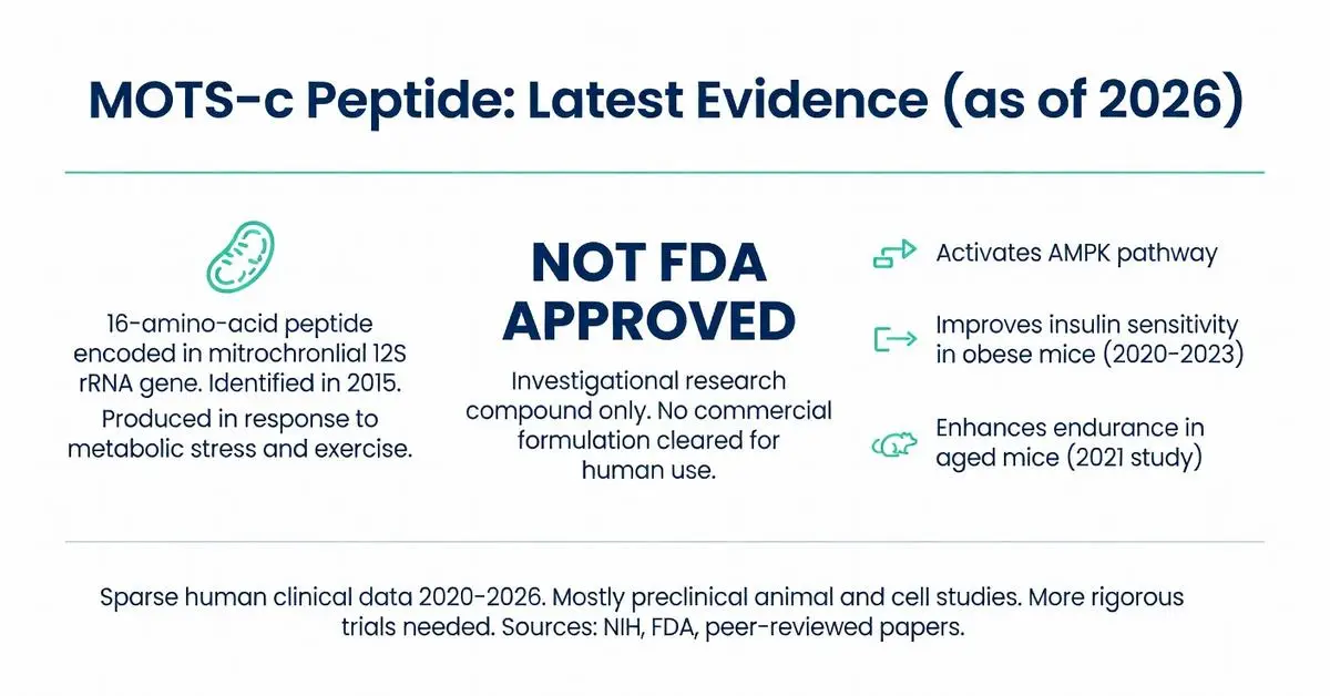MOTS c peptide latest evidence as of 2026 infographic showing benefits, AMPK activation, insulin sensitivity and not FDA approved status