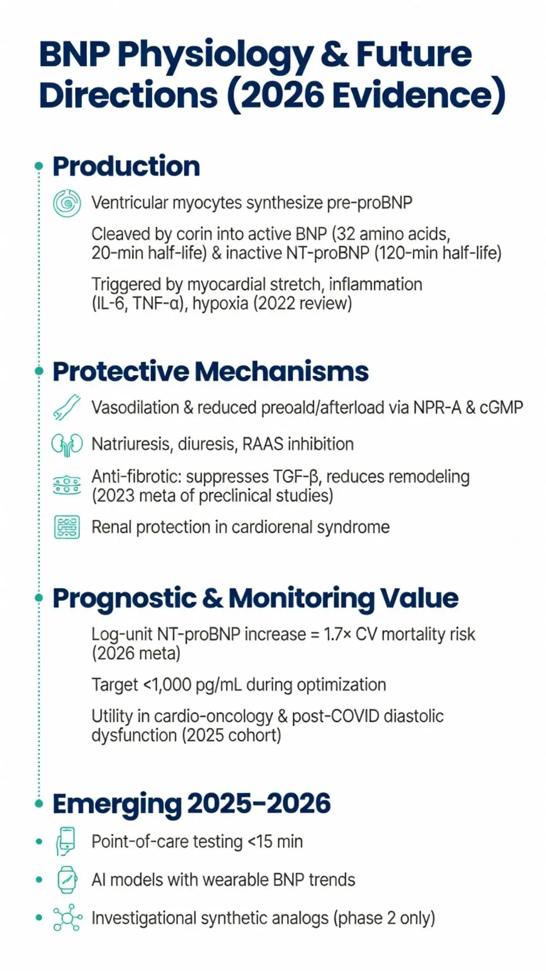 B type natriuretic peptide BNP physiology and future directions 2026 evidence infographic detailing production, protective mechanisms, prognostic value with NT-proBNP, and emerging AI wearable testing