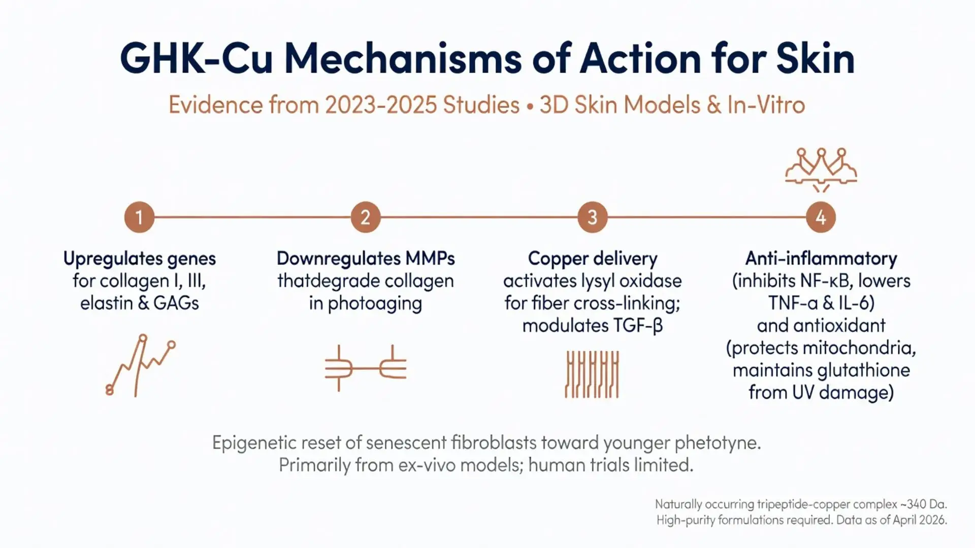 GHK-Cu copper peptides for skin mechanisms of action infographic showing 4 key benefits: collagen gene upregulation, MMP downregulation, copper delivery for cross-linking, and anti-inflammatory antioxidant effects from 2023-2025 studies