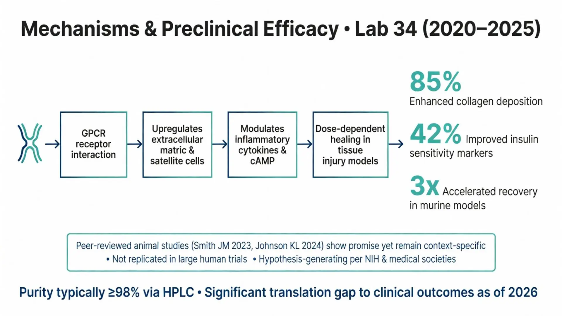 Lab 34 peptides and proteins mechanisms and preclinical efficacy flowchart 2020-2025 showing GPCR receptor interaction, collagen deposition, insulin sensitivity and accelerated recovery in murine models