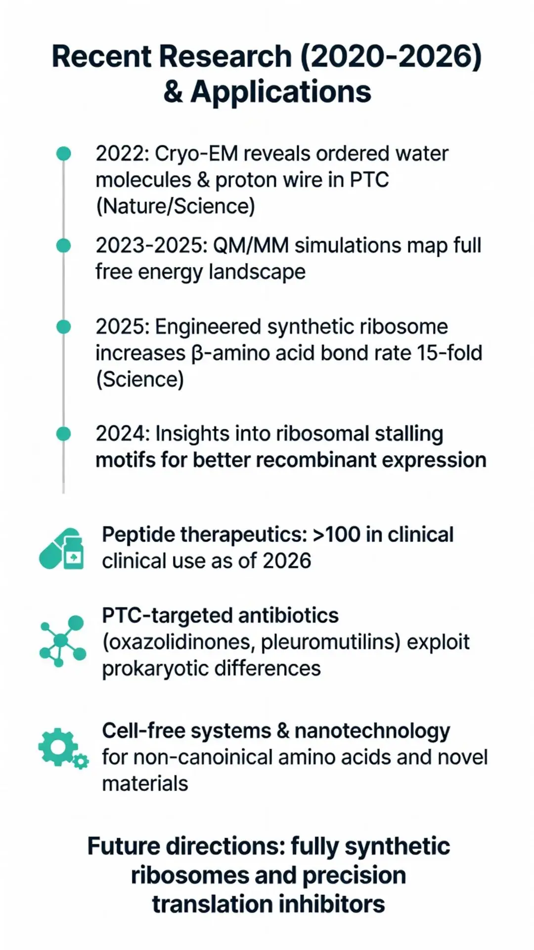 Infographic timeline of 2020-2026 research breakthroughs in peptide bond formation, featuring Cryo-EM of the PTC, QM/MM simulations, engineered synthetic ribosomes boosting beta-amino acid bond rates 15-fold, peptide therapeutics, and PTC-targeted antibiotics
