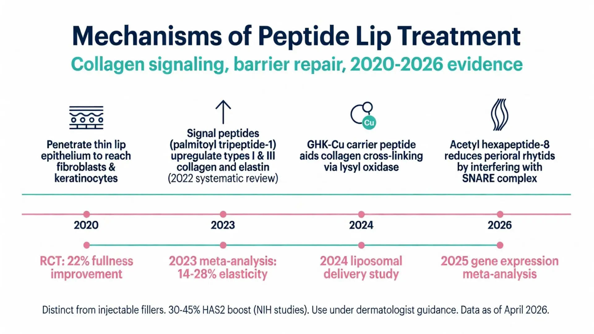 Mechanisms of peptide lip treatment infographic showing collagen signaling, barrier repair, and 2020-2026 clinical evidence including RCT 22% fullness improvement, palmitoyl tripeptide-1, GHK-Cu, and acetyl hexapeptide-8 results
