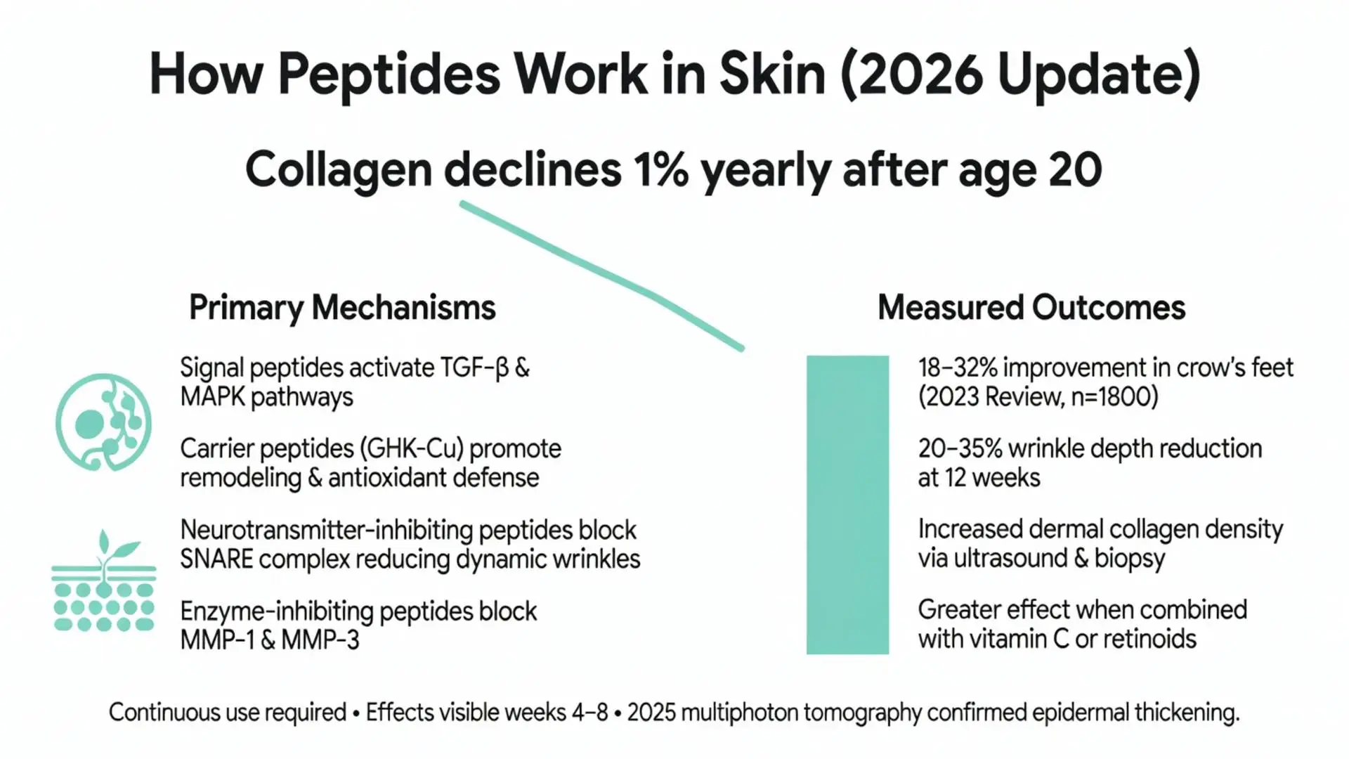 How peptide skincare works 2026 update infographic showing collagen decline, primary mechanisms of signal carrier neurotransmitter and enzyme inhibiting peptides, plus clinical results like 20-35% wrinkle reduction