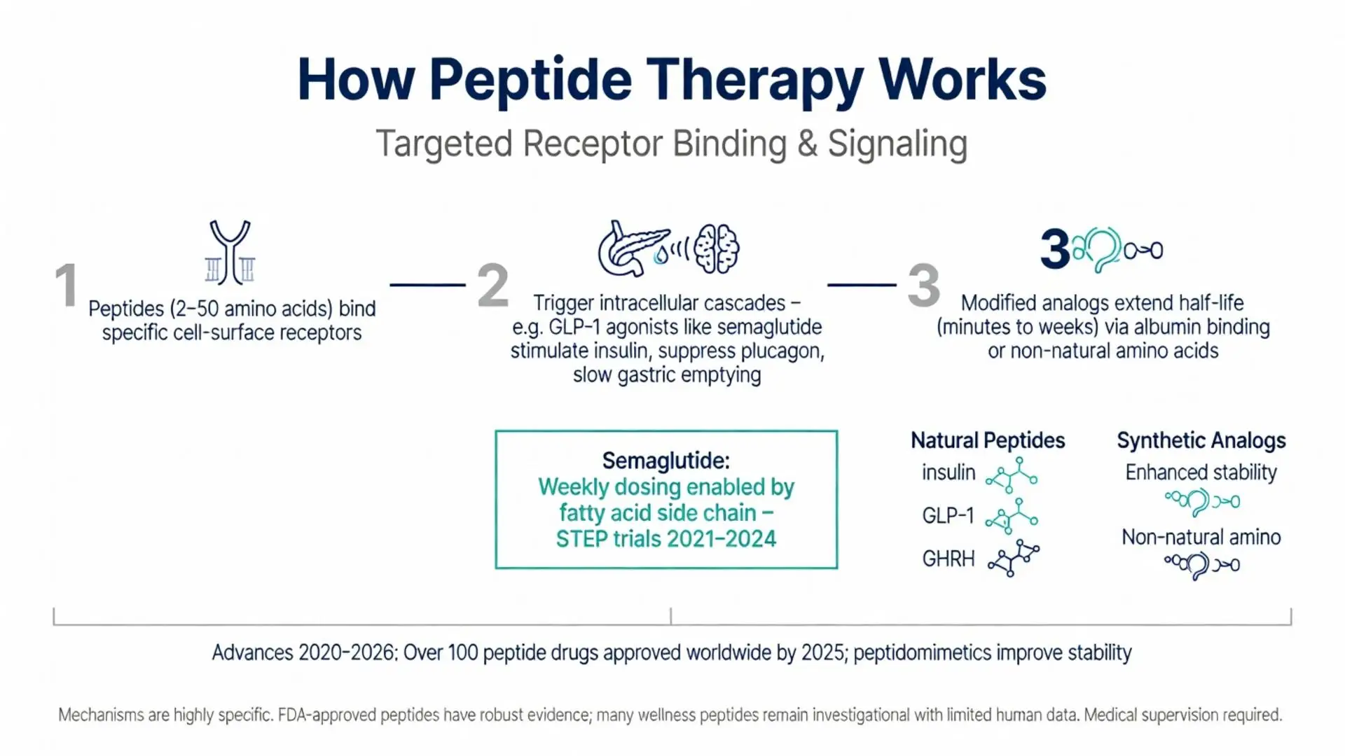 What is peptide therapy? Infographic explaining how it works: targeted receptor binding, intracellular cascades with GLP-1 agonists like semaglutide, and modified analogs extending half-life via albumin binding or non-natural amino acids