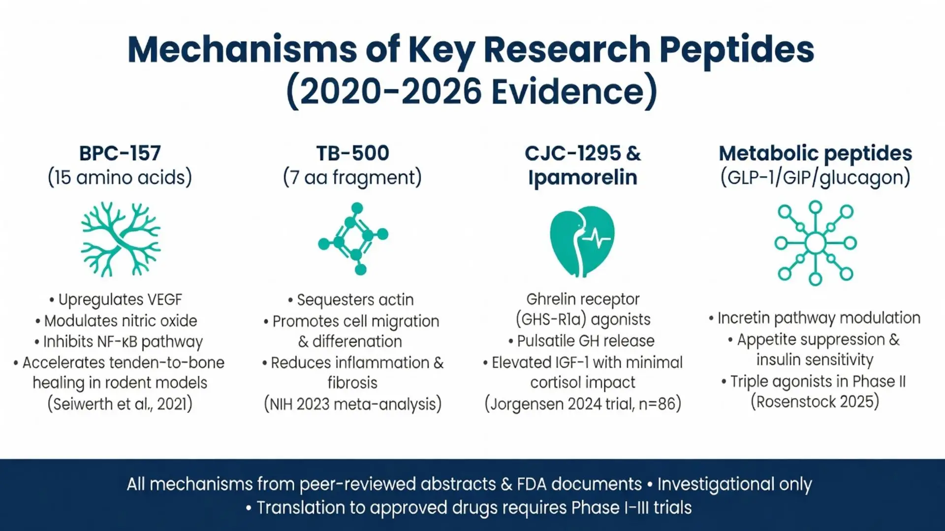 Infographic detailing mechanisms of key research peptides including BPC-157, TB-500, CJC-1295, Ipamorelin and metabolic GLP-1/GIP/glucagon peptides with 2020-2026 clinical evidence