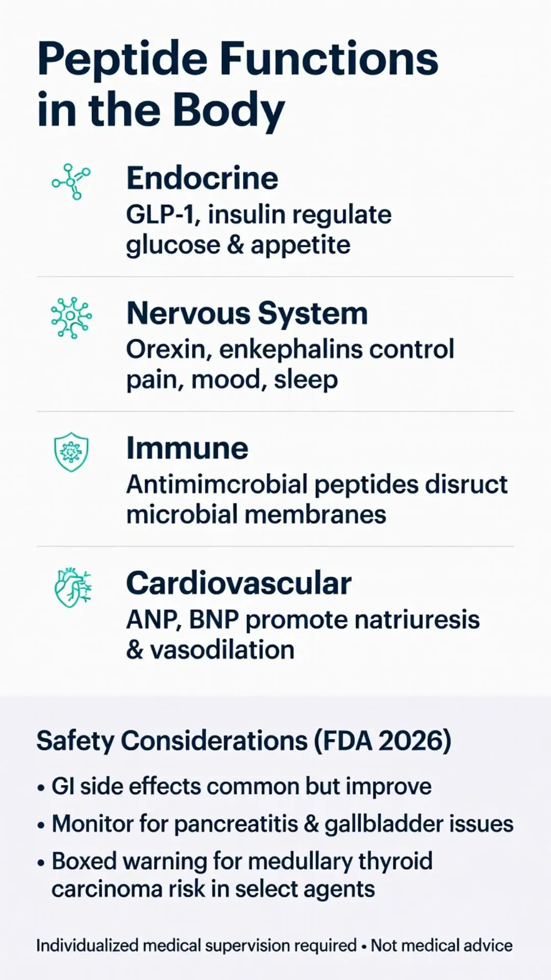 What is a peptide? Infographic showing peptide functions in the body including endocrine (GLP-1, insulin), nervous system (orexin, enkephalins), immune, and cardiovascular (ANP, BNP) roles plus FDA 2026 safety considerations