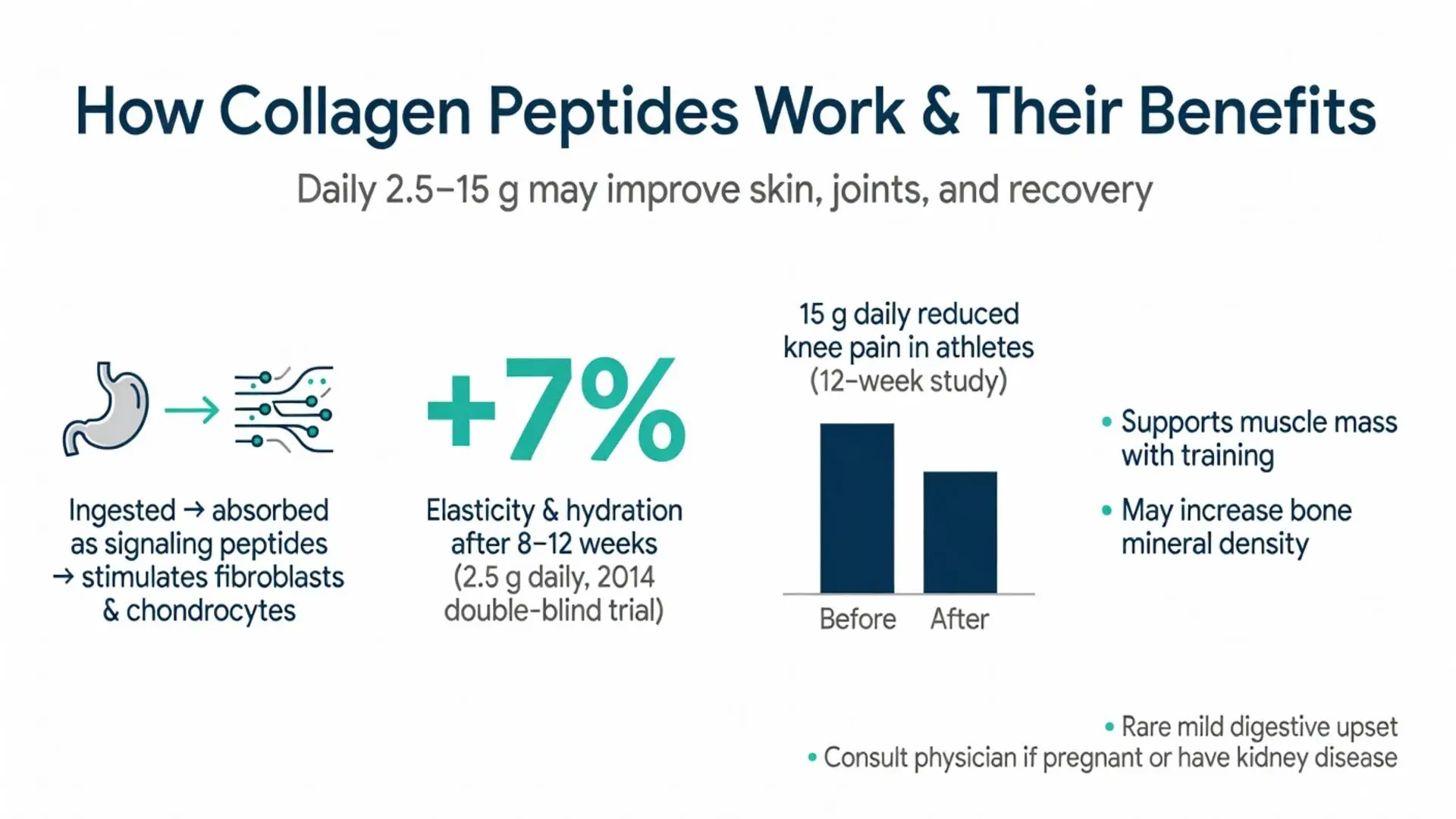 How callogen peptides work and their benefits infographic showing 7% improved skin elasticity, reduced knee pain, muscle support and bone density