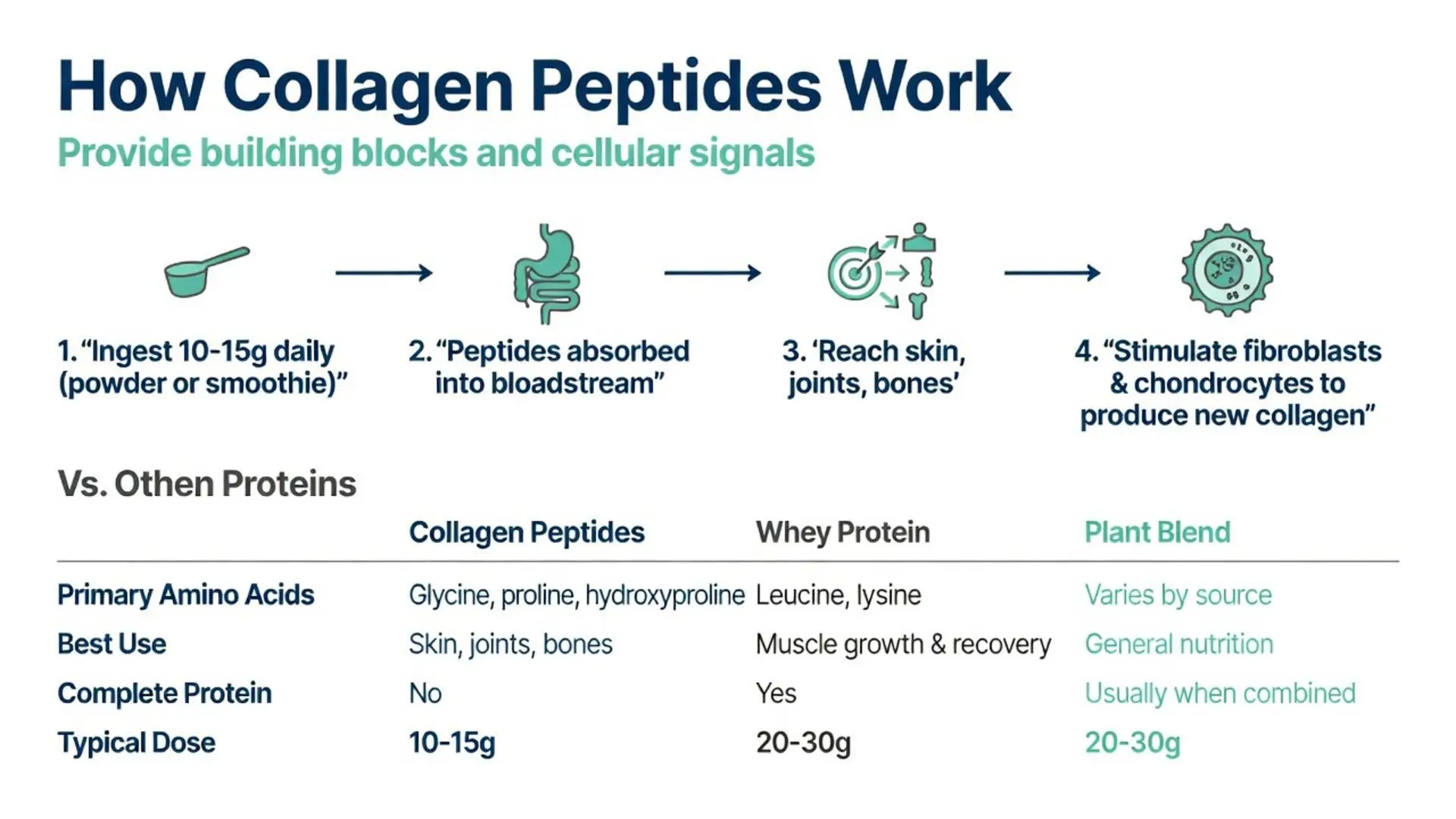 Infographic explaining how collagen and peptides work to support skin, joints, bones with comparison chart vs whey protein and plant blends