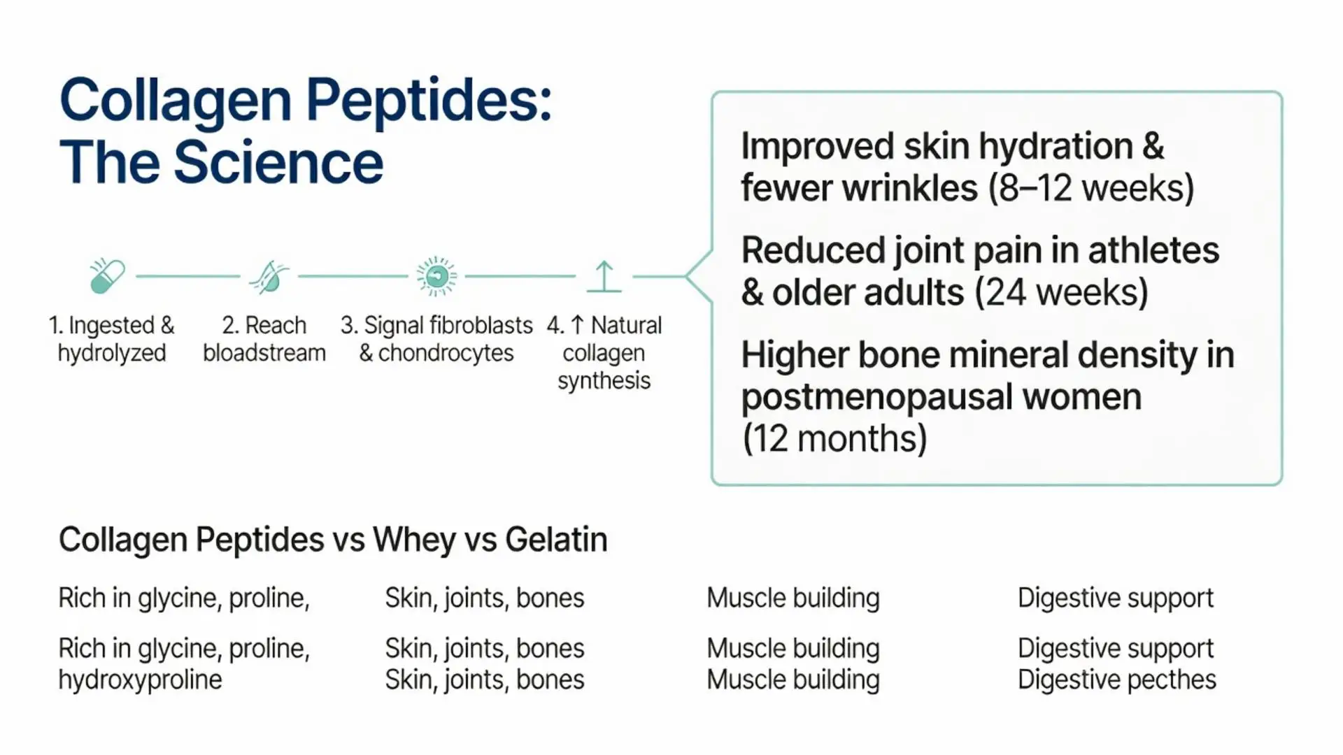 What do collagen peptides do? Infographic shows science: 4-step process from ingestion to increased collagen synthesis plus proven benefits for skin hydration, joint pain relief, bone density, and comparison vs whey and gelatin