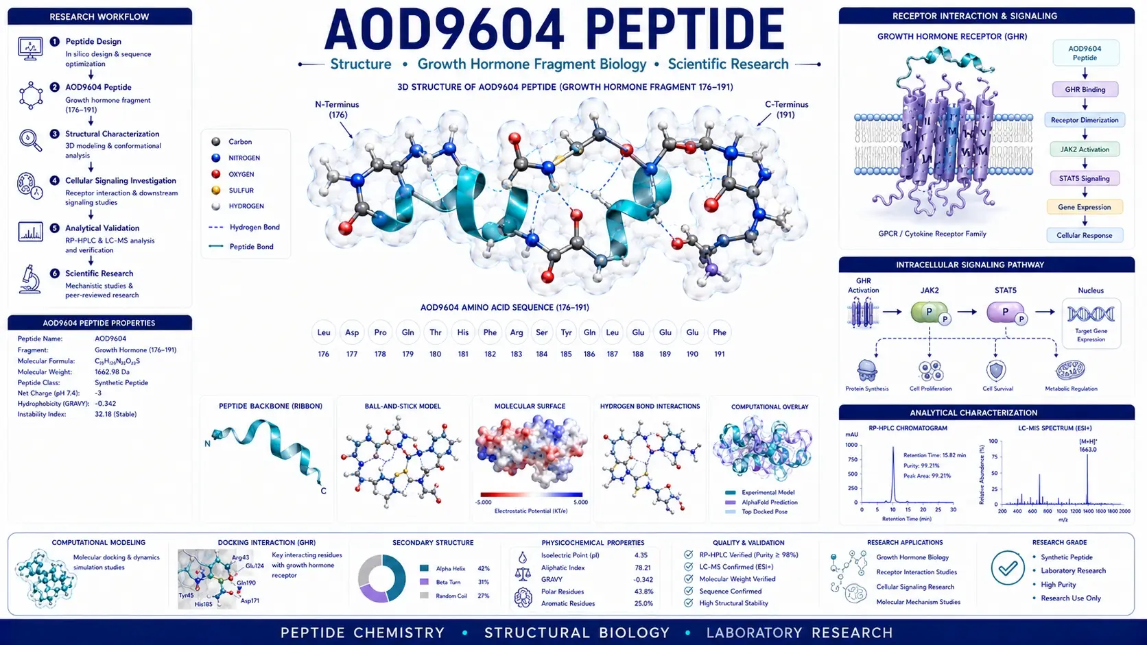 Scientific infographic illustrating the 3D molecular structure of AOD9604 peptide, growth hormone fragment biology, computational molecular modeling, peptide chemistry, and laboratory research workflow.