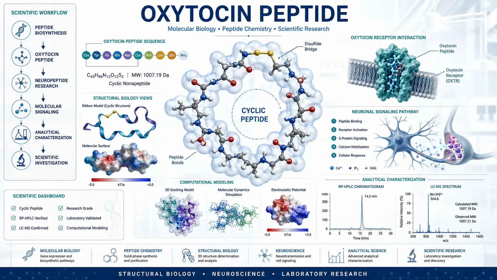 Publication-quality scientific illustration of the Oxytocin peptide showing its cyclic molecular structure, neurobiology pathway visualization, peptide chemistry annotations, computational molecular modeling overlays, and laboratory analytical workflow.