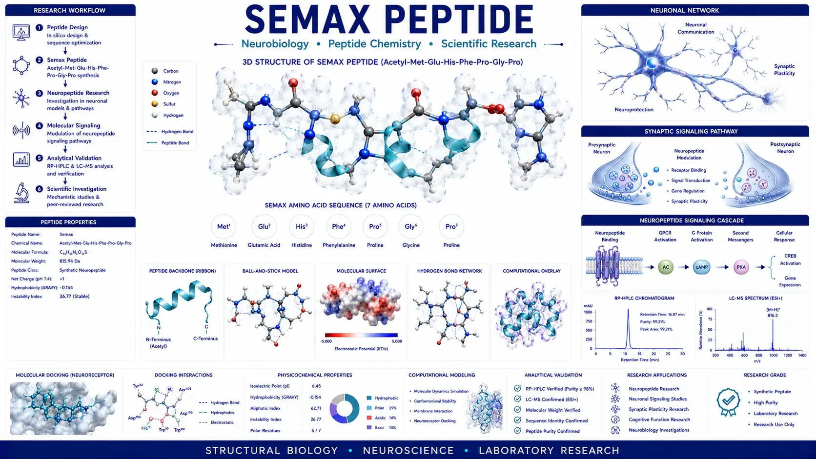 Publication-quality scientific illustration showing the three-dimensional molecular structure of Semax peptide with neurobiology pathways, computational molecular modeling, peptide sequence annotations, and laboratory peptide research workflow.