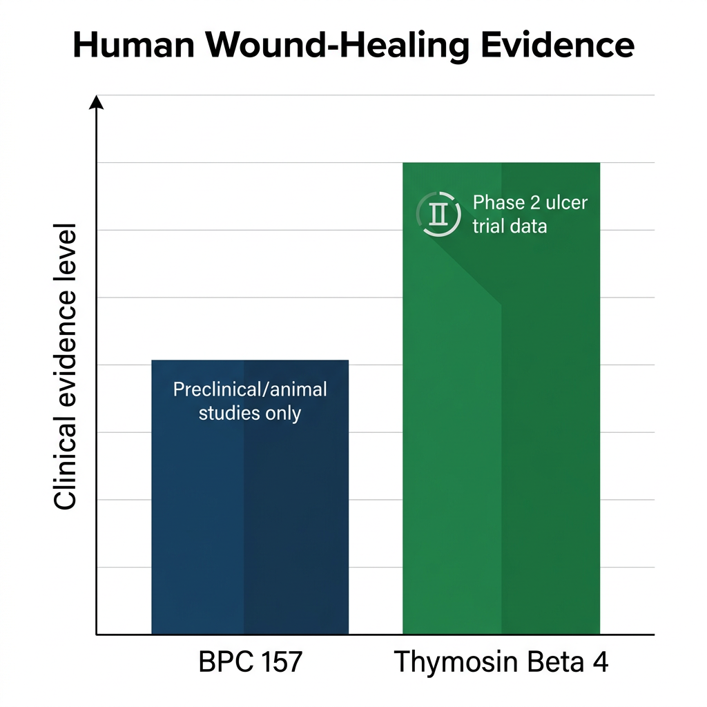 Bar chart comparing human wound-healing evidence levels for BPC 157 and Thymosin Beta 4, showing phase 2 data.