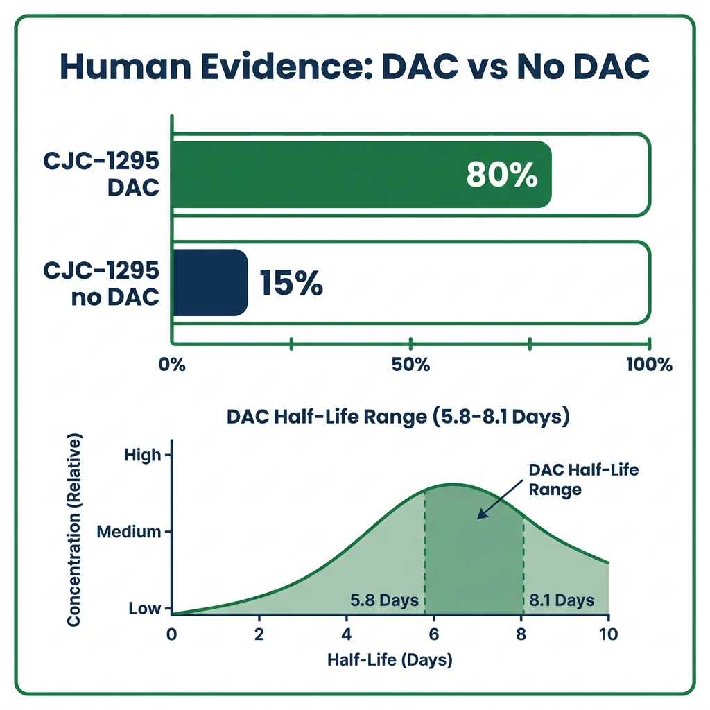 Bar chart comparing human evidence for CJC-1295 DAC versus no DAC, showing DAC half-life range.