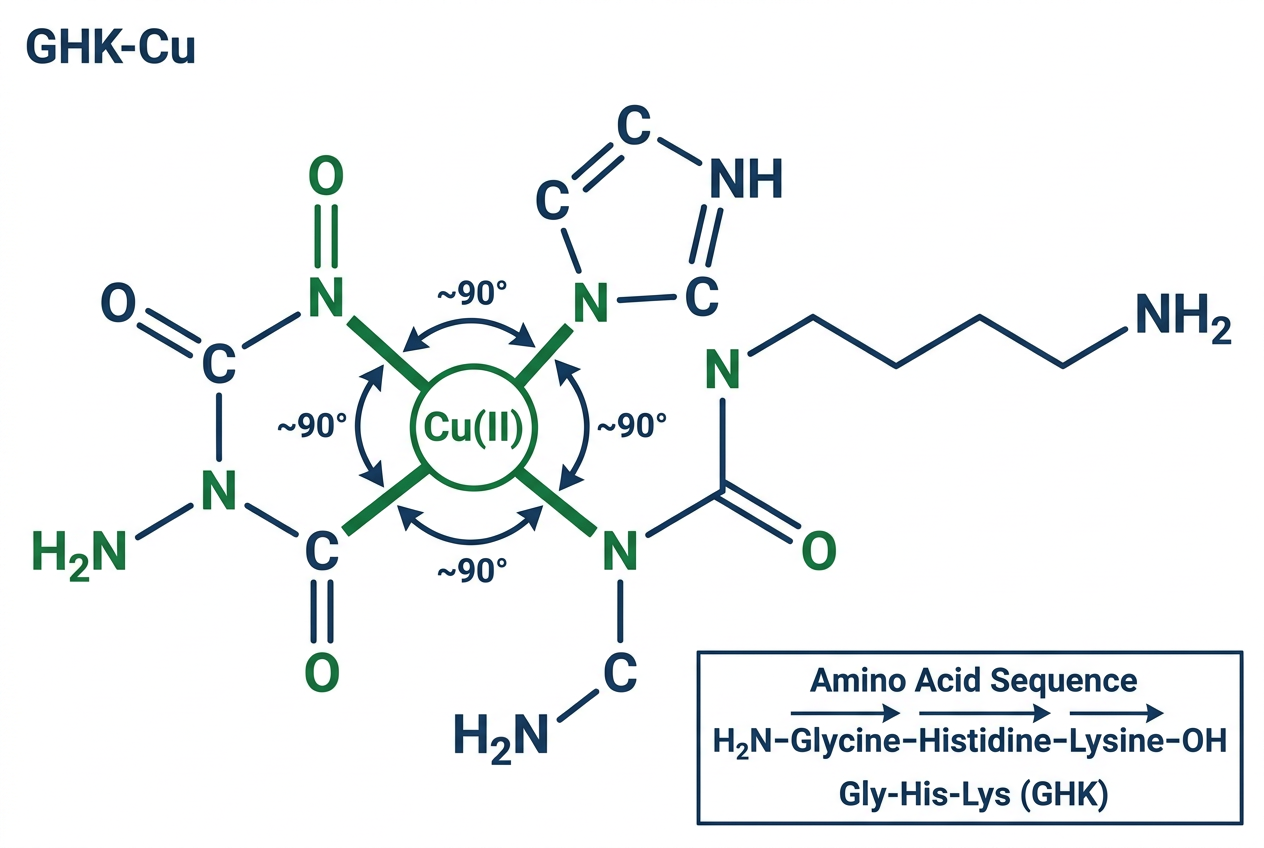 Molecular structure diagram of GHK-Cu tripeptide with copper ion, labeled atoms, peptides library ghk chemistry overview
